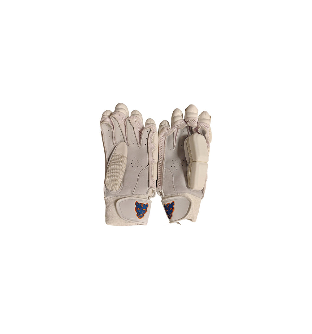 Raioness League Edition Batting Gloves - Mens/Youth