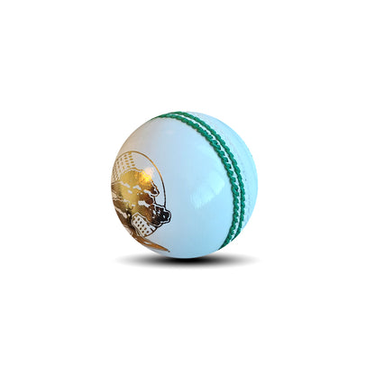 T-20 Special 2022 - Mens Cricket Ball (156 Gram) - White