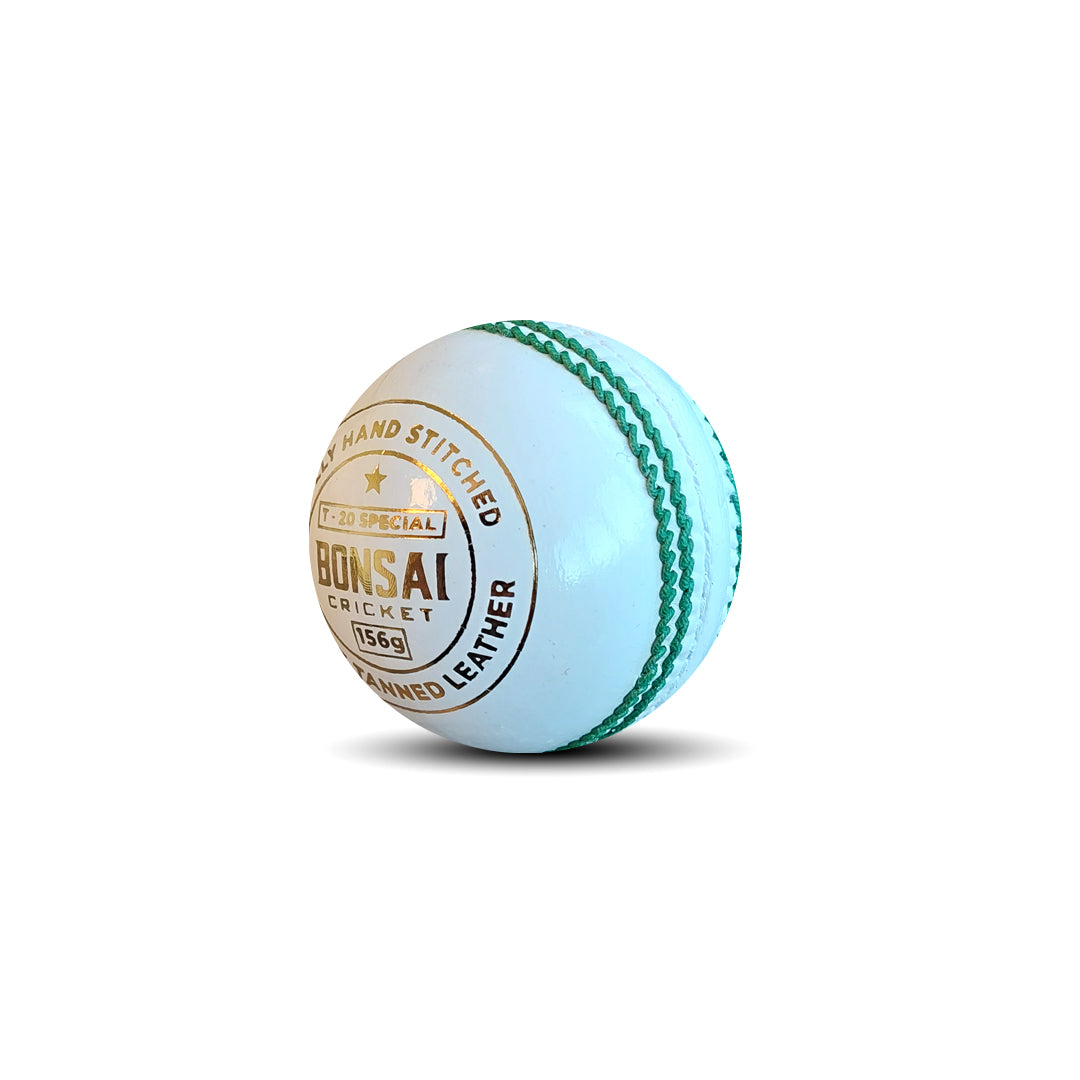 T-20 Special 2022 - Mens Cricket Ball (156 Gram) - White